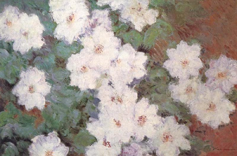 Claude Monet Clematis Sweden oil painting art